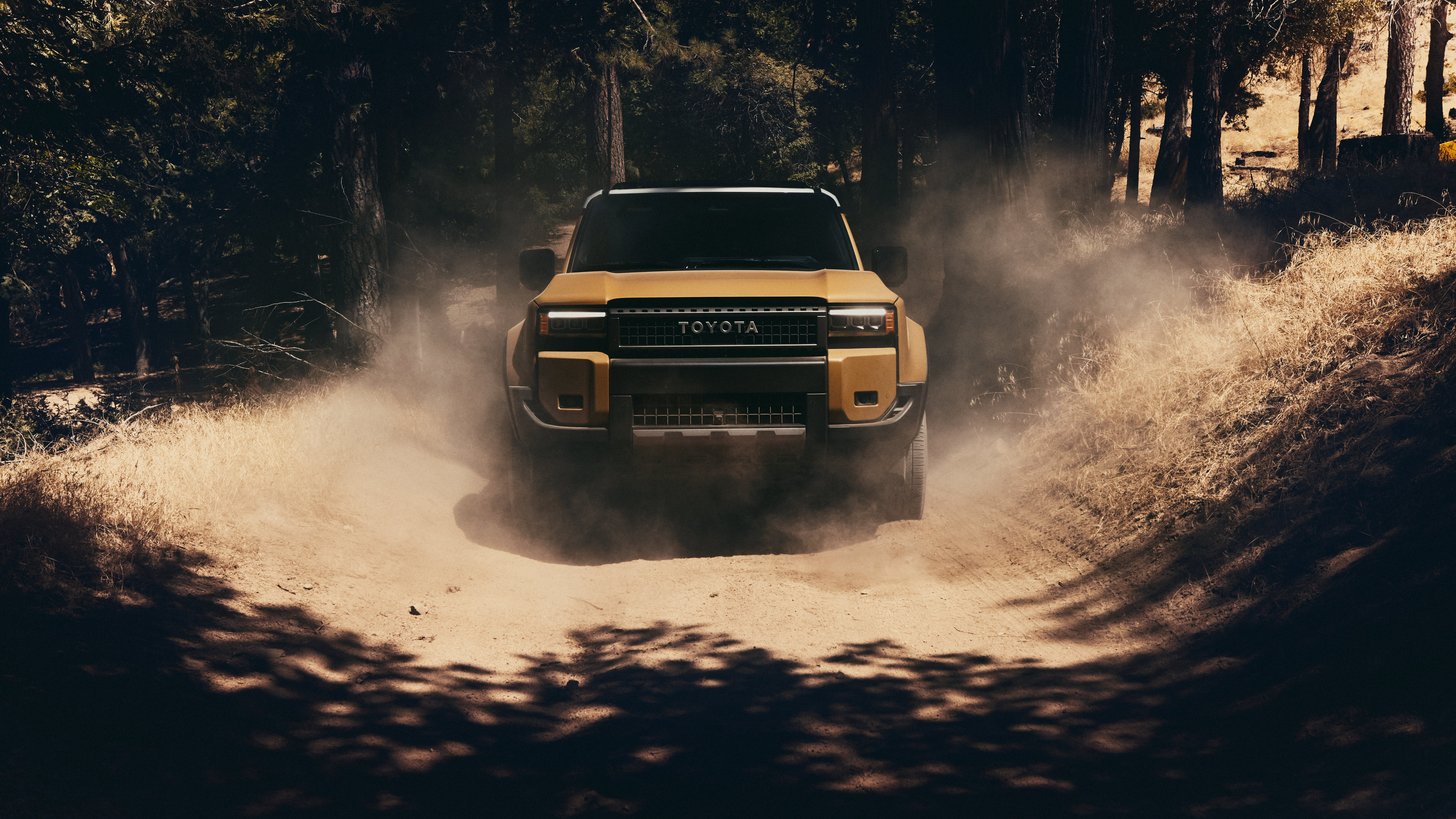 2025 Toyota Land Cruiser